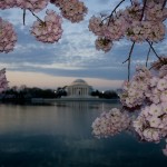 Tidal Basin