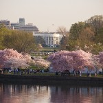 White House