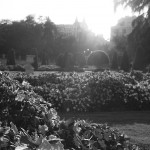 Madrid4