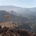 Morocco3