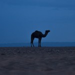 Morocco8